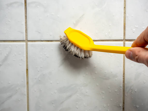 Home Mold Removal in Maury, NC