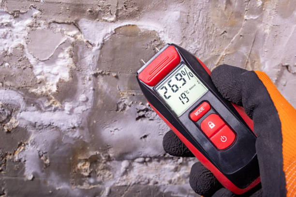 Best Attic Mold Removal  in Maury, NC