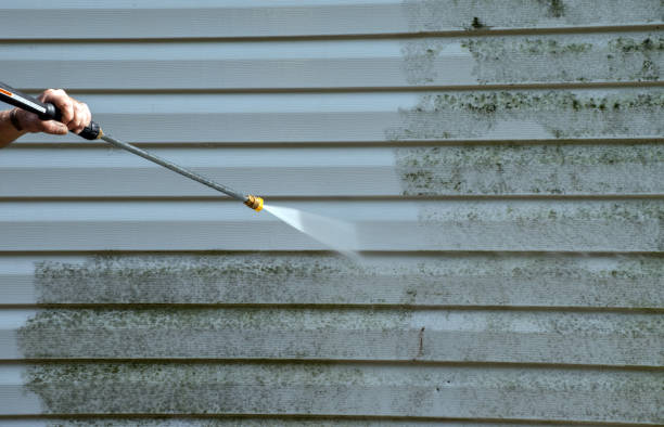 Best Certified Mold Removal  in Maury, NC