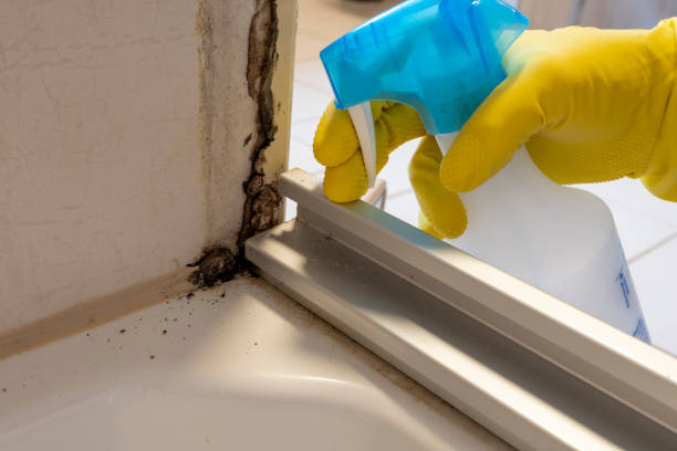 Crawl Space Mold Removal in Maury, NC