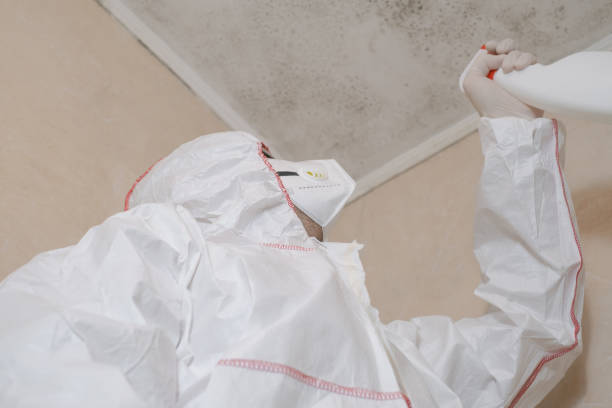Best Mold Removal and Inspection  in Maury, NC