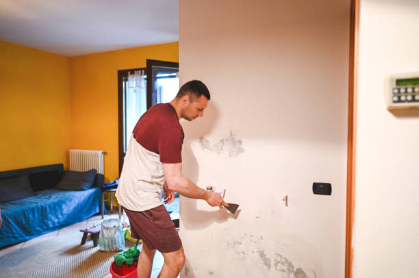 Best Crawl Space Mold Removal  in Maury, NC
